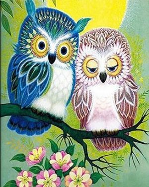 Owl Lovers Paint By Numbers