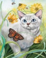 White Cat And Butterfly Paint By Numbers