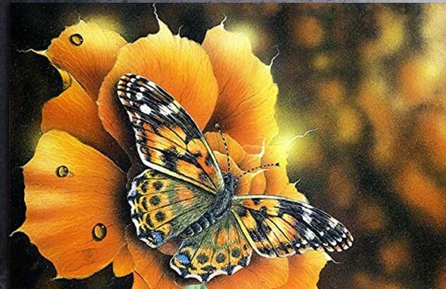 Butterfly On Flower paint by numbers