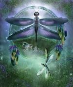 Dream Catcher Dragonfly Paint By Numbers