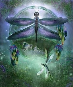 Dream Catcher Dragonfly Paint By Numbers