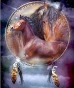 Dream Catcher Horses Paint By Numbers