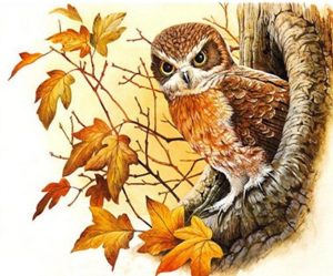 Owl Stands In A Tree Hole Paint By Numbers