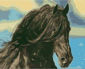 Black Horse Head Paint By Numbers