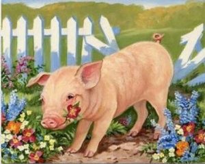 Pig In Garden Paint By Numbers