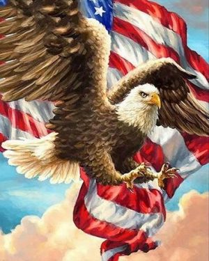 Flag American Eagle Paint By Numbers