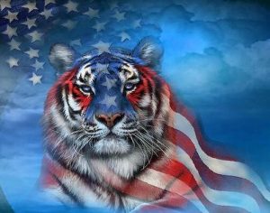 American Tiger Paint By Numbers