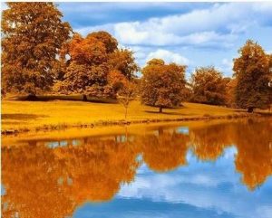 Autumn Land Lake Paint By Numbers