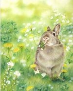 Rabbit In Green Grass Paint By Numbers