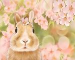 Rabbit And Pink Flowers Paint By Numbers