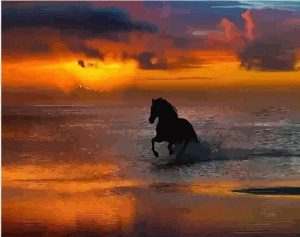 Horse Silhouette Paint By Numbers