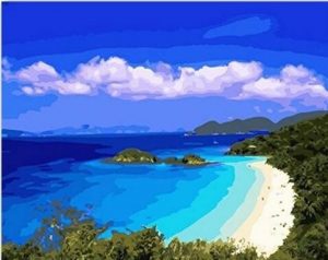 Caribbean Beach Paint By Numbers