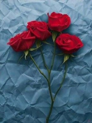 Red Roses Paint By Numbers