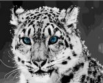 Leopard Blue Eyes Paint By Numbers