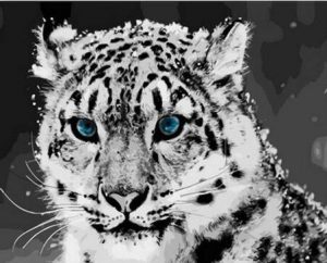 Leopard Blue Eyes Paint By Numbers