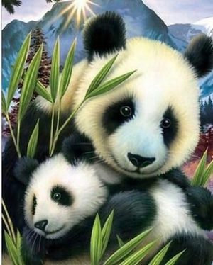 Bamboo Panda Paint By Numbers