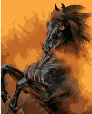 Black Horse in Deserts Animals Paint By Numbers