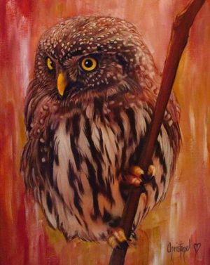 Brown Owl Paint By Numbers