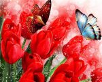 Butterfly And Red Tulips Paint By Numbers