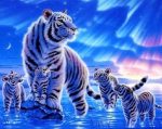 White Tigers Paint By Numbers