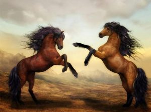 Jumping Horse Paint By Numbers