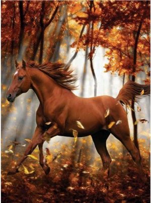 Horse in Autumn Animals Paint By Numbers