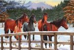 Horse in Winter Animals Paint By Numbers
