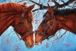 Horse Couple Paint By Numbers