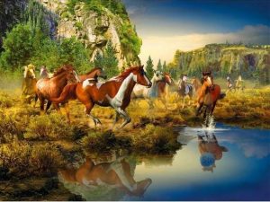 Wild Horse Canyon Paint By Numbers