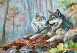 Wolf Couple Paint By Numbers