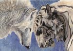 Wolf And Tiger Paint By Numbers