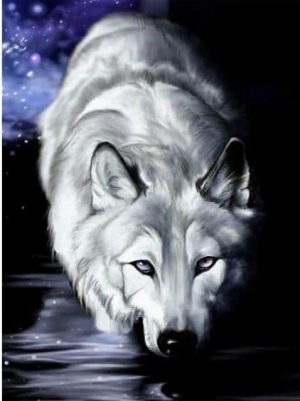 Arctic Wolf Paint By Numbers