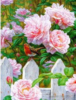 Robin Bird And Flowers Paint By Numbers