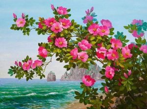 Seaside Flowers Paint By Numbers