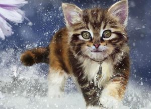 Cat In Snow Paint By Numbers