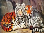 Wild Tiger Couple Paint By Numbers