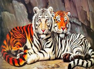 Wild Tiger Couple Paint By Numbers