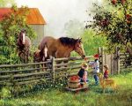 Horses In Farm Paint By Numbers