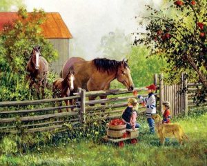 Horses In Farm Paint By Numbers