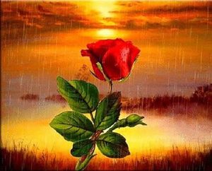 Rose Under Rain Paint By Numbers