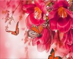 Butterflies In Pink Flowers Paint By Numbers