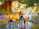 Horses By The Stream Paint By Numbers