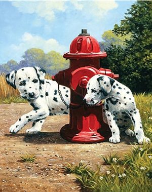 Dalmatians Dogs Paint By Numbers