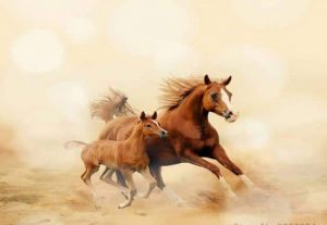 Horse And Foal Paint By Numbers