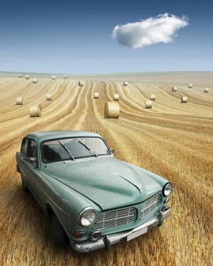 Car In Field Paint By Numbers