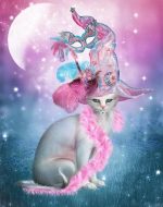 Witch Cat Paint By Numbers