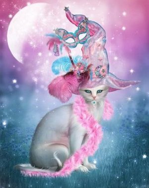 Witch Cat Paint By Numbers