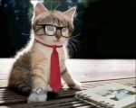 Cat In Tie And Glasses Paint By Numbers