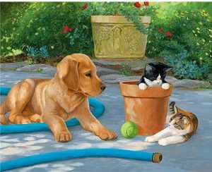 Puppy With Cats Paint By Numbers