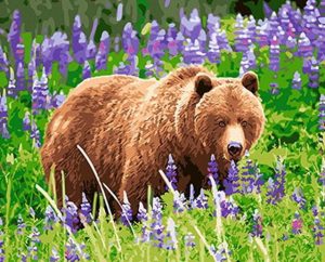 Bear In Lavender Paint By Numbers
